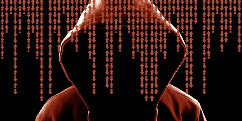 Newsletter Image: Human Error: The Leading Cause of Data Breaches