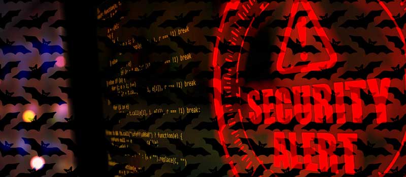 Newsletter image: Are Millennials And Gen Z A Cyber Security Threat?