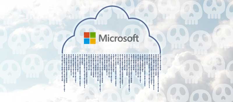 Newsletter image: Microsoft Data leak