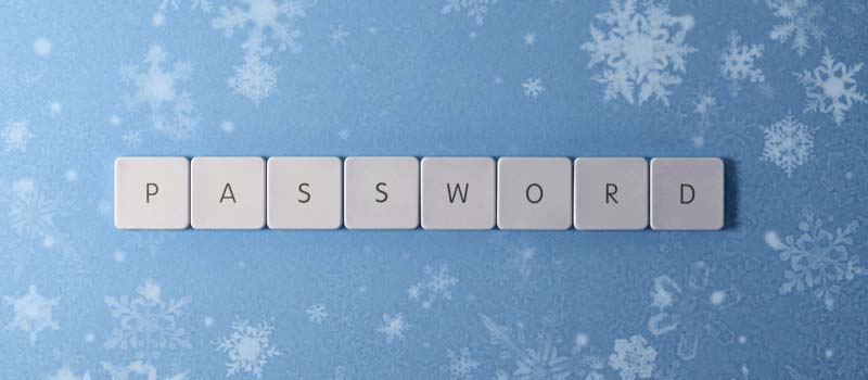 Newsletter Image: Bad Passwords 2022