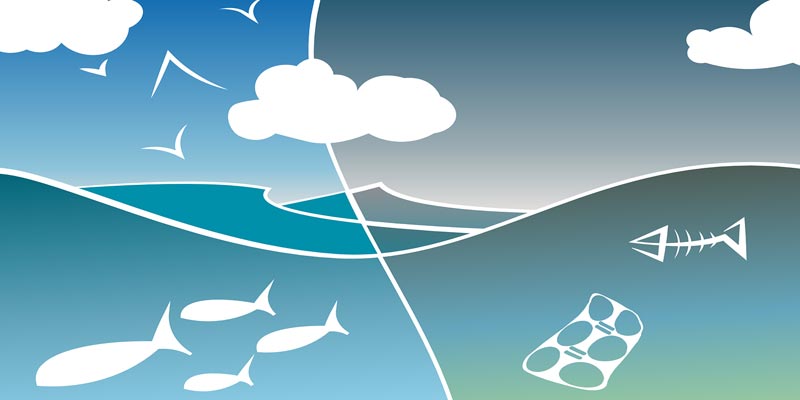 Newsletter Image: AI Aids Environmental Protection