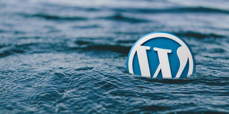 Newsletter Image: The Ongoing WordPress.org vs WP Engine Battle